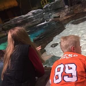 Meet your Posher, Kellie